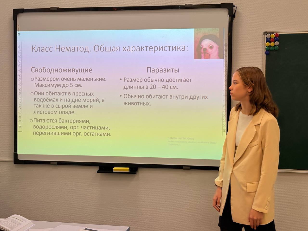 49fd5b8a-a874-4106-8973-a2c721cc3de6